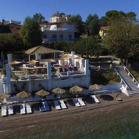 Отель Taradella