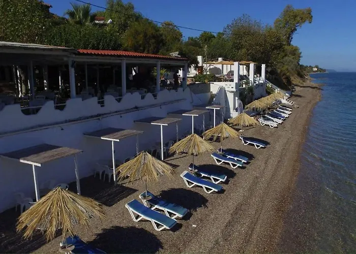 Отель Taradella