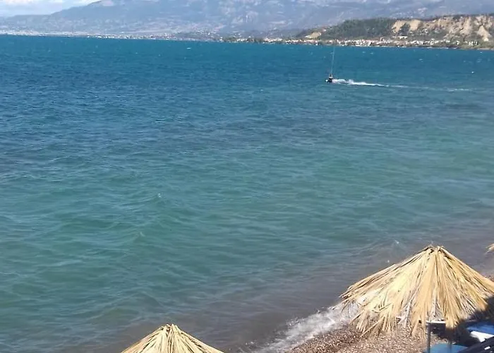 Отель Taradella 3*