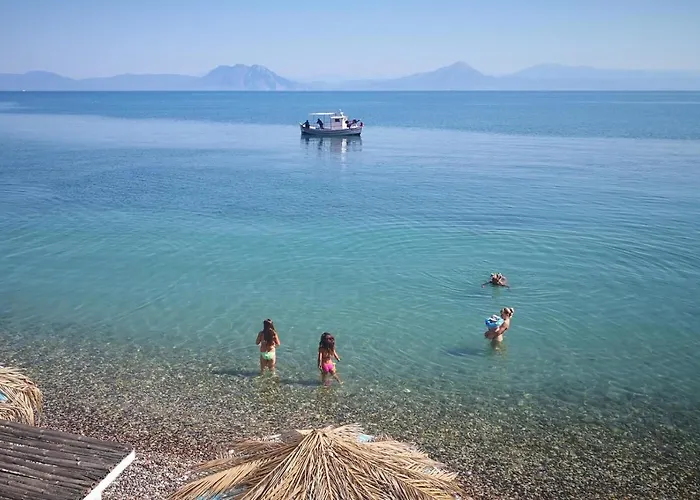 Отель Taradella 3*