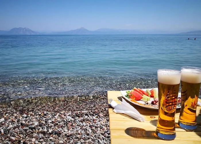 Отель Taradella 3*